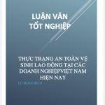 Thực trạng công tác an toàn vệ sinh lao động tại các doanh nghiệp Việt Nam hiện nay