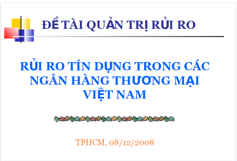 Slide thuyết trình rủi ro tín dụng trong các ngân hàng thương mại Việt Nam
